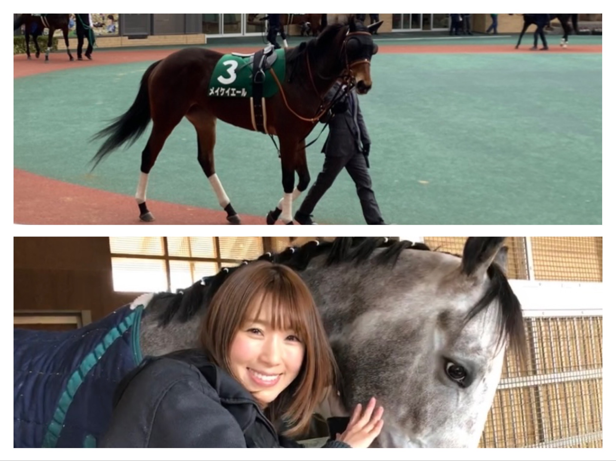 アイドルホースオーディション2022 ぬいぐるみになる上位5頭が  